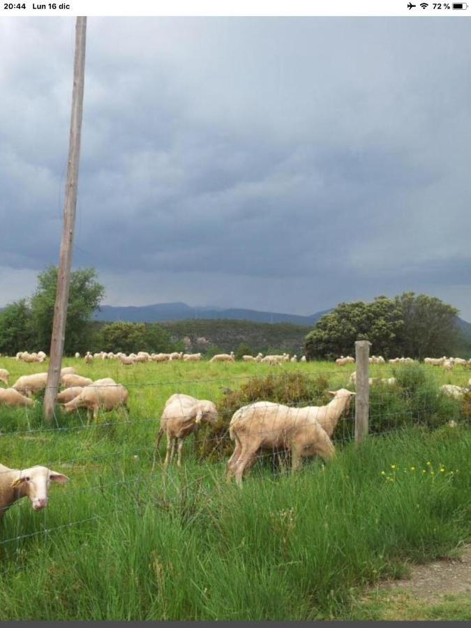 Vistas A La Montana En Un Pueblo Con Encanto. El Pueyo de Araguás Exteriér fotografie