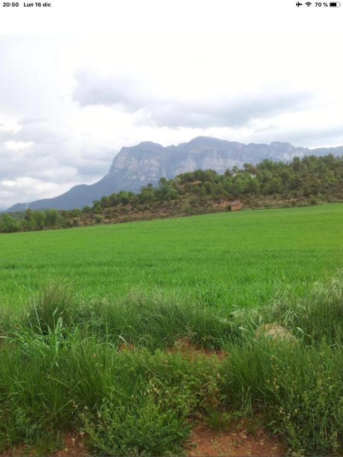 Vistas A La Montana En Un Pueblo Con Encanto. El Pueyo de Araguás Exteriér fotografie