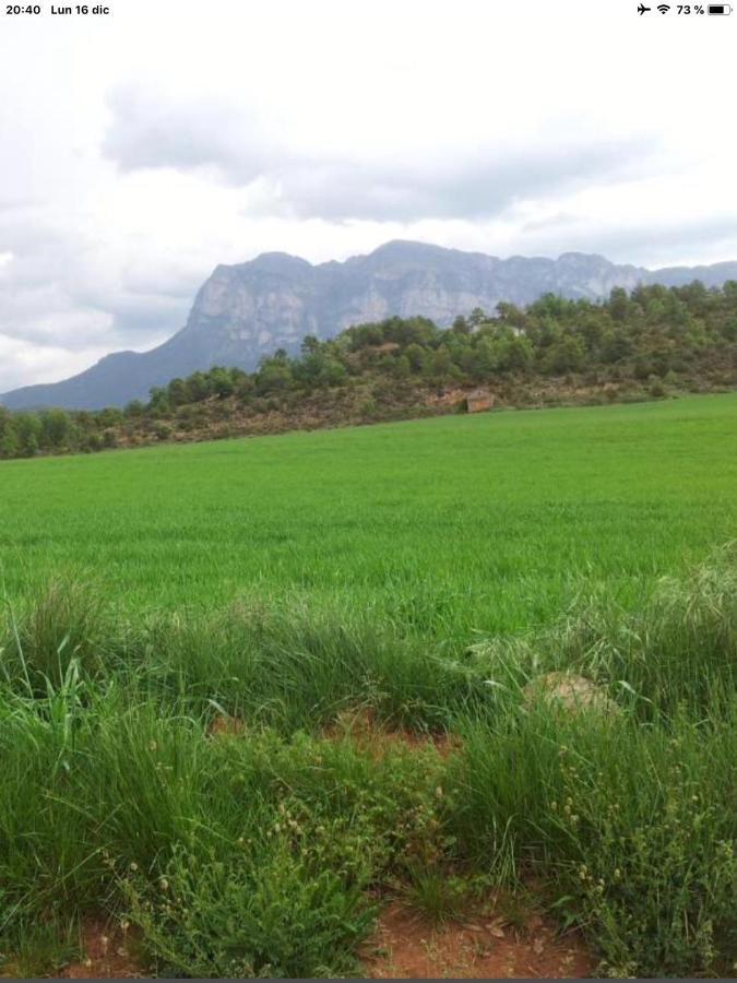 Vistas A La Montana En Un Pueblo Con Encanto. El Pueyo de Araguás Exteriér fotografie